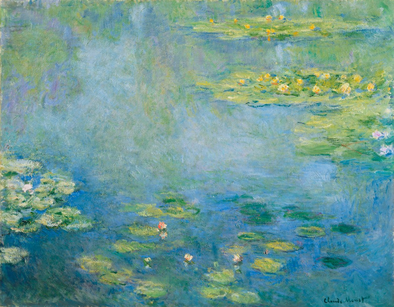 Water Lilies